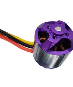 H2836 Motor